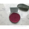 Natural Pure Mulberry Fruit Extract Powder